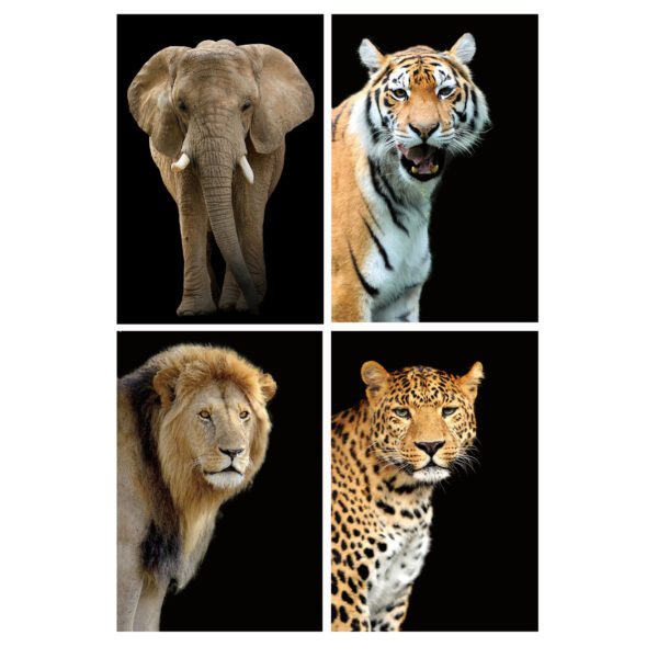 CANVASTAVLA 60x40CM 4SO