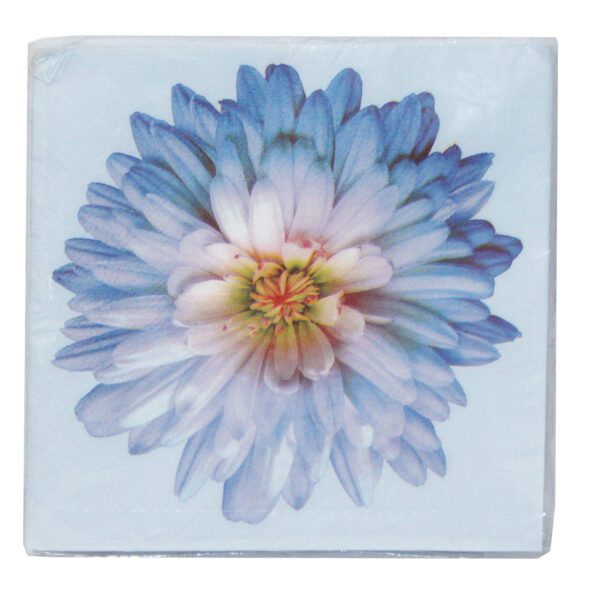 SERVETT 20-P 2-LAG 33x33CM