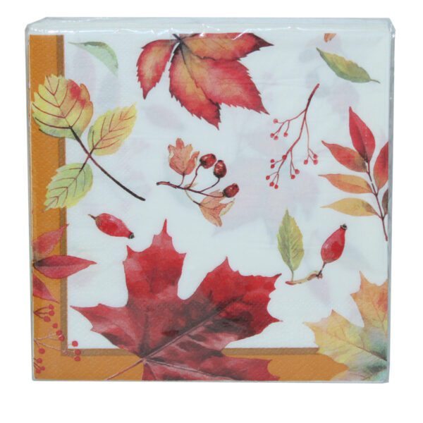 SERVETT 20-P 2-LAG 33x33CM